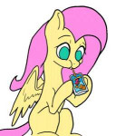 slamjam-Fluttershy-mane-6-my-little-pony-5214554.gif