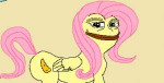 985678safefluttershywatsmugpepe+the+frog.png