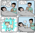 2011-01-10-doctor-cat.jpg