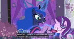 lavenderpony.png