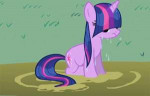 70884UNOPTsafetwilight-sparkleanimatedrainbow-dash-maked-he[...].gif