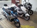 nmax-vs-pcx-125-3.jpg