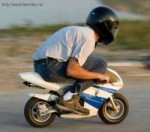 minibikes[1].jpg