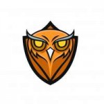 owl-vector-mascot8942-112.jpg
