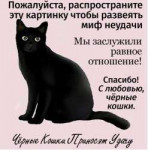IMG20190815144918569.jpg