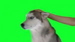 0F69935E-3FEA-435C-AF5C-B82495247249.jpeg