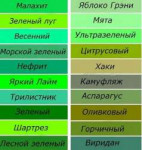 IMG20190919132548.jpg