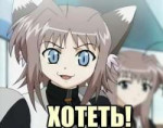 C9FF471E-D65C-40EA-BB7B-3FEBF18E81FC.jpeg