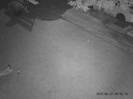 15708127995080.mp4