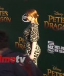 PetesDragon.webm