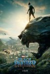 kinopoisk.ru-Black-Panther-3004589.jpg