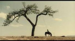 the.ballad.of.buster.scruggs.2018.internal.1080p.web.x264-s[...].png