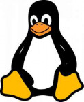 linux-2025130960720.png