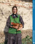 eastern-european-old-farmer-woman-holding-chicken-eastern-e[...].jpg