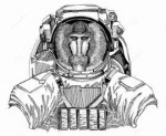обезьяна-павиан-собак-астронавт-обезьяны-космический-костюм[...].jpg