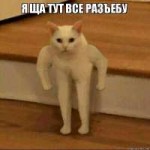 14943313724560.jpg