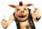 9146739-punker-pig.jpg