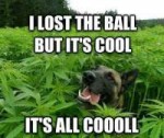 losball,coolcannabis9buz.jpg