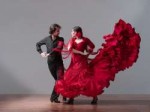 Flamenco3.jpg