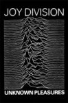 joy-division-unknown-pleasures-large-poster.jpg