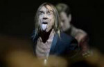 454-292-IggyPop14.jpg