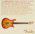 fender-roasted-earth-fake.jpg