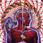 Tool-Lateralus.jpg