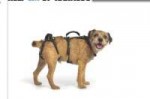 2018-08-27 192252-Help Em Up™ Dog Harness  Hip Dysplasia  D[...].png