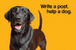 PEDIGREE Write A Post Help A Dogs POSTCARDS 6.jpg