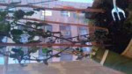 IMG20191028091447.jpg