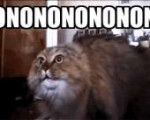 LOL-300x242.gif