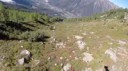 Eric Dossantos BASE jump wingsuit through tree and survives[...].webm