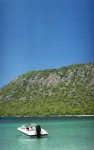 img991.jpg