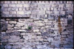 aa009.jpg