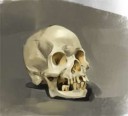 skull