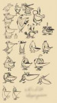 эскизы пеликанов.jpg