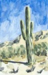 cactusbytulvit-db7vks2.jpg