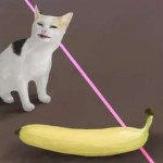 кот и банан.png