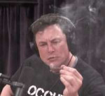 Elon Musk smoking weed.gif