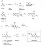 ciprofloxacin synthesis.jpg