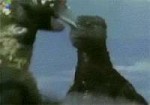 godzilla boxer.gif