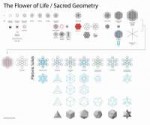 sacred geometry flower life bartl.jpg