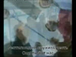 169329324404055639.webm
