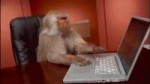 15165469259050.gif