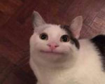 15486417006910.png