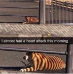 mq2lrZgC0Kk.jpg