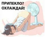 IMG0382.JPG
