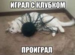 15149907338810.jpg