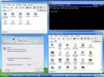 ReactOS3