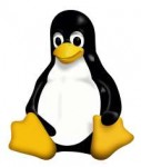 200px-Tux.svg.png